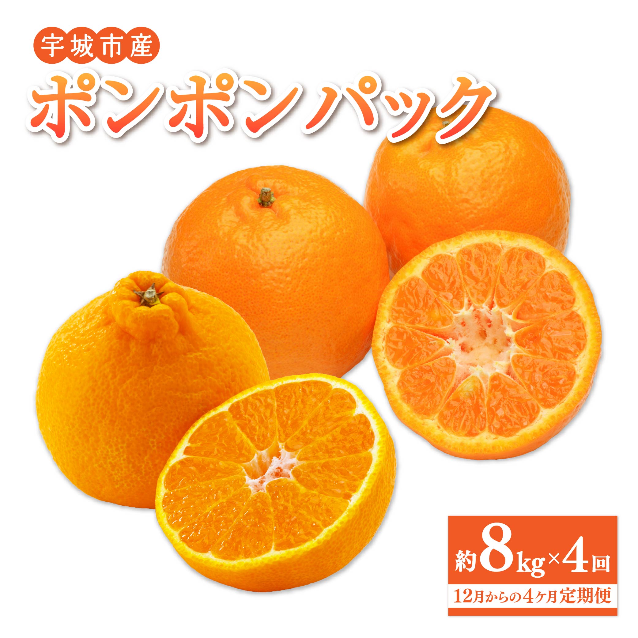先行予約 みかん定期便 ポンポンパック (ポンカン 約8kg×2回 不知火 約8kg×2回) 合計32kg 【12月からの4カ月定期便】 ぽんかん 椪柑 しらぬい 柑橘 みかん ミカン 蜜柑 フルーツ くだもの 果物 定期 セット 宇城市産 熊本県産 九州産 国産 ひでみかん