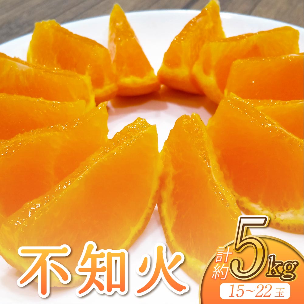 先行予約 不知火 約5kg (15〜22玉前後)【2026年3月上旬〜4月下旬発送予定】 しらぬい 柑橘類 みかん ミカン 蜜柑 果物 フルーツ 宇城市産 熊本県産 九州産 ひがし果樹園