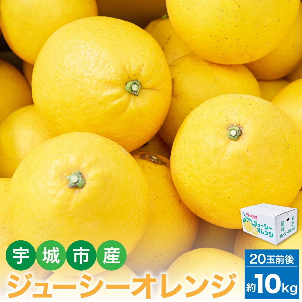 先行予約 ジューシーオレンジ 約10kg（20玉前後） 【2026年4月上旬~2026年5月下旬頃発送予定】 河内晩柑 オレンジ 蜜柑 みかん 柑橘 柑橘類 国産 九州 熊本県 宇城市 送料無料 宇城市産 株式会社la Nui.
