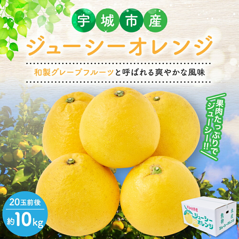 【ふるさと納税】先行予約 ジューシーオレンジ 約10kg（20玉前後） 【2026年4月上旬~2026年5月下旬頃発送予定】 河内晩柑 オレンジ 蜜柑 みかん 柑橘 柑橘類 国産 九州 熊本県 宇城市 送料無料 宇城市産 株式会社la Nui. サムネイル2