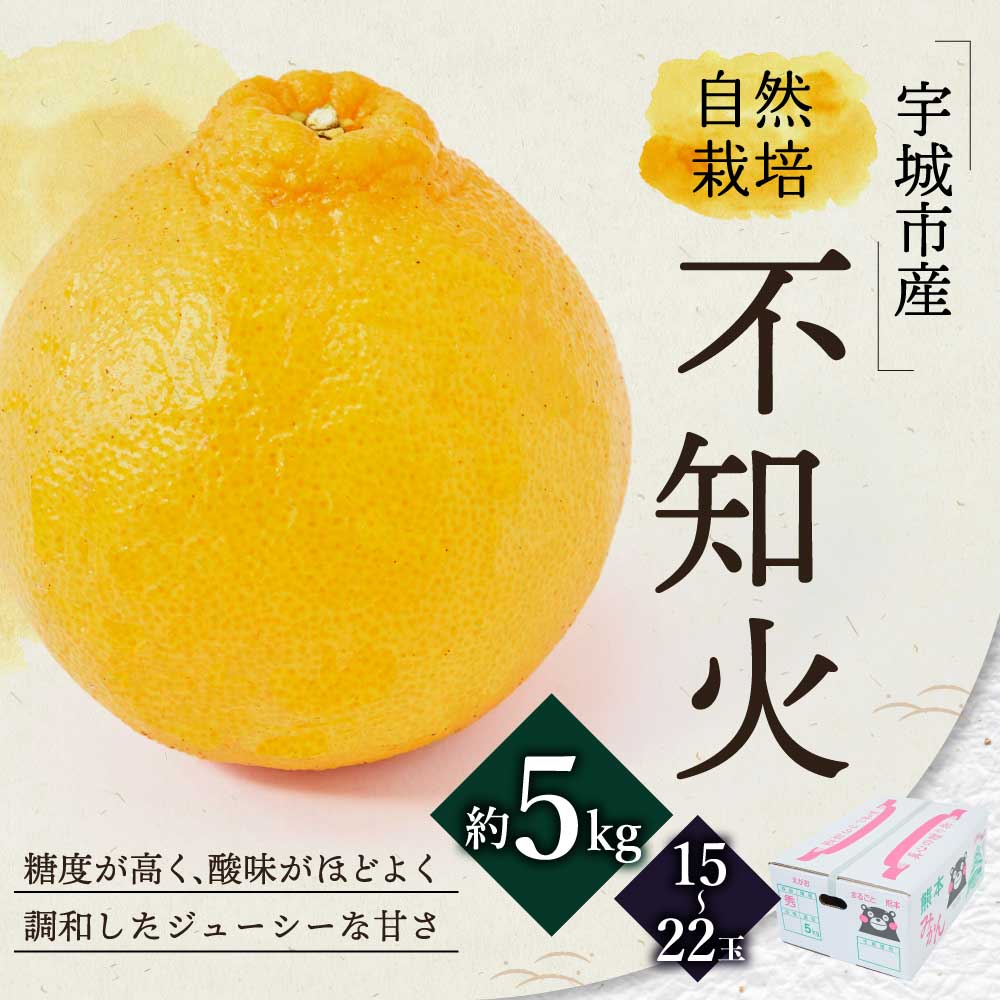 【ふるさと納税】 先行予約 不知火 約5kg（15〜22玉） 【2026年3月上旬~2026年4月上旬頃発送予定】 自然栽培 農薬不使用 みかん 蜜柑 柑橘 国産 九州 熊本県 宇城市 しらぬい 株式会社la Nui. サムネイル2