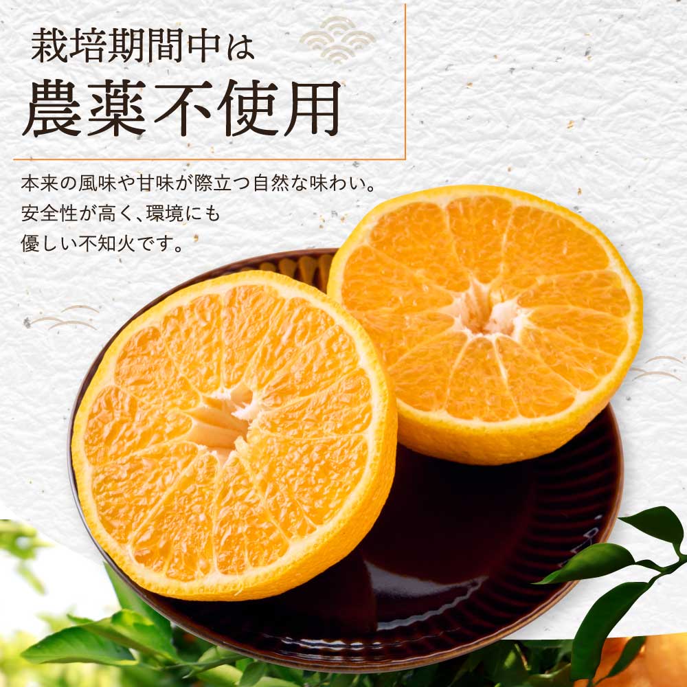 【ふるさと納税】 先行予約 不知火 約5kg（15〜22玉） 【2026年3月上旬~2026年4月上旬頃発送予定】 自然栽培 農薬不使用 みかん 蜜柑 柑橘 国産 九州 熊本県 宇城市 しらぬい 株式会社la Nui. サムネイル3