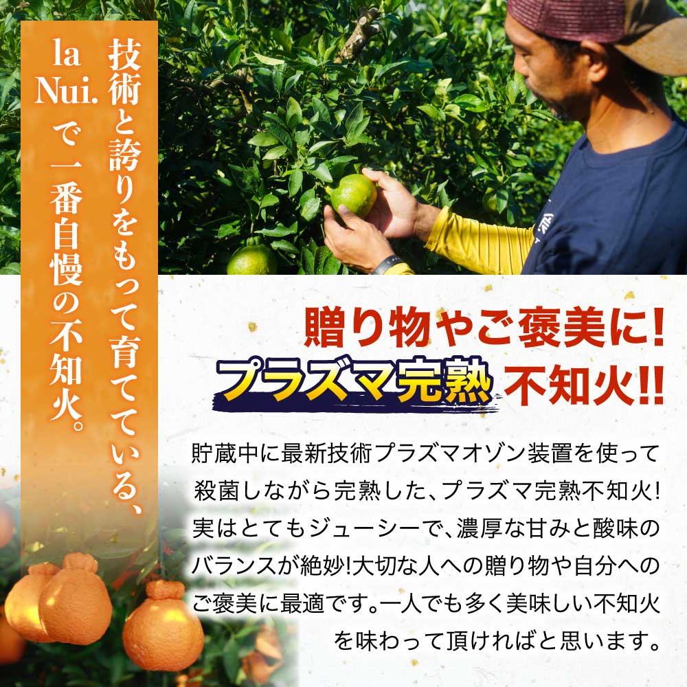 【ふるさと納税】【選べる内容量】 先行予約 ハウス栽培 プラズマ完熟 不知火 約3kg（7〜12玉）もしくは 約5kg（15〜22玉） 【2026年3月上旬~2026年4月上旬頃発送予定】 しらぬい みかん 蜜柑 柑橘 国産 九州 熊本県 宇城市 株式会社la Nui. サムネイル2