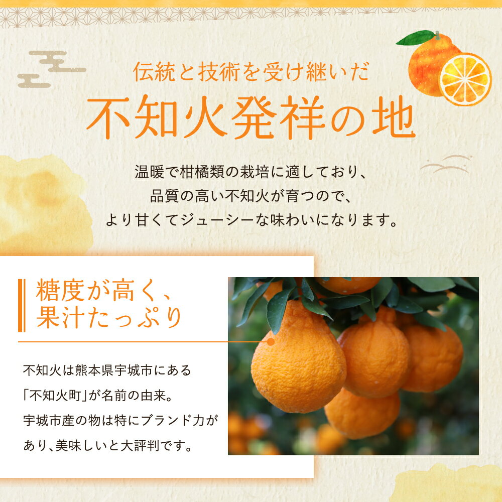 【ふるさと納税】【選べる内容量】 先行予約 ハウス栽培 プラズマ完熟 不知火 約3kg（7〜12玉）もしくは 約5kg（15〜22玉） 【2026年3月上旬~2026年4月上旬頃発送予定】 しらぬい みかん 蜜柑 柑橘 国産 九州 熊本県 宇城市 株式会社la Nui. サムネイル3