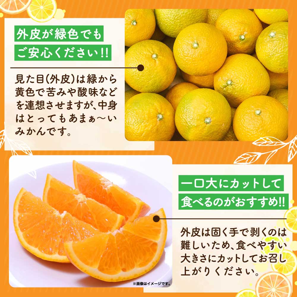 【ふるさと納税】【選べる容量】 先行予約 スイートスプリング 約3kg（12〜20玉）もしくは 約5kg（20〜38玉） 【2025年12月下旬~2026年1月下旬頃発送予定】 みかん ミカン 蜜柑 柑橘 果物 くだもの フルーツ 常温 九州 熊本県 宇城市 株式会社la Nui. サムネイル3