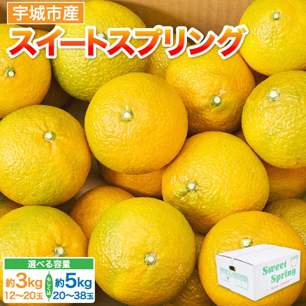 【選べる容量】 先行予約 スイートスプリング 約3kg（12〜20玉）もしくは 約5kg（20〜38玉） 【2025年12月下旬~2026年1月下旬頃発送予定】 みかん ミカン 蜜柑 柑橘 果物 くだもの フルーツ 常温 九州 熊本県 宇城市 株式会社la Nui.