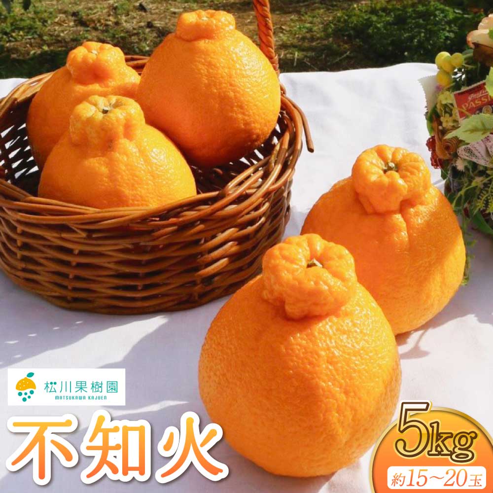 先行予約 【雑誌MORE掲載】 不知火 約5kg (約15〜20玉) 【2026年3月上旬から4月下旬発送予定】しらぬい 柑橘 みかん ミカン 蜜柑 果物 くだもの フルーツ 九州産 熊本県産 宇城市産 国産 松川果樹園