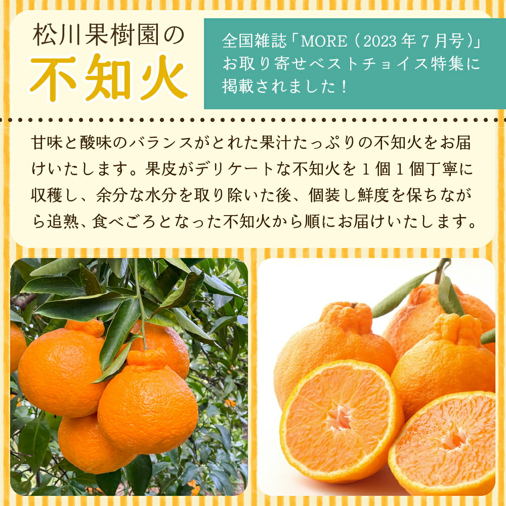 【ふるさと納税】 先行予約 【雑誌MORE掲載】 不知火 訳あり 約5kg (約15〜20玉) もしくは 約9kg (約30〜40玉) 【2026年3月上旬から4月下旬発送予定】 しらぬい わけあり 柑橘類 みかん ミカン 蜜柑 果物 くだもの フルーツ 九州産 熊本県産 宇城市産 国産 商品 松川果樹園 サムネイル2