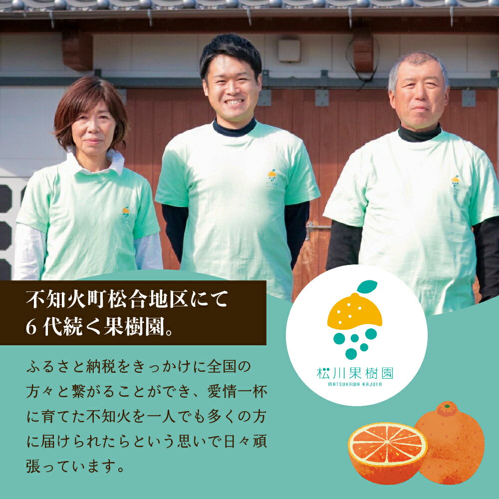 【ふるさと納税】 先行予約 【雑誌MORE掲載】 不知火 訳あり 約5kg (約15〜20玉) もしくは 約9kg (約30〜40玉) 【2026年3月上旬から4月下旬発送予定】 しらぬい わけあり 柑橘類 みかん ミカン 蜜柑 果物 くだもの フルーツ 九州産 熊本県産 宇城市産 国産 商品 松川果樹園 サムネイル3