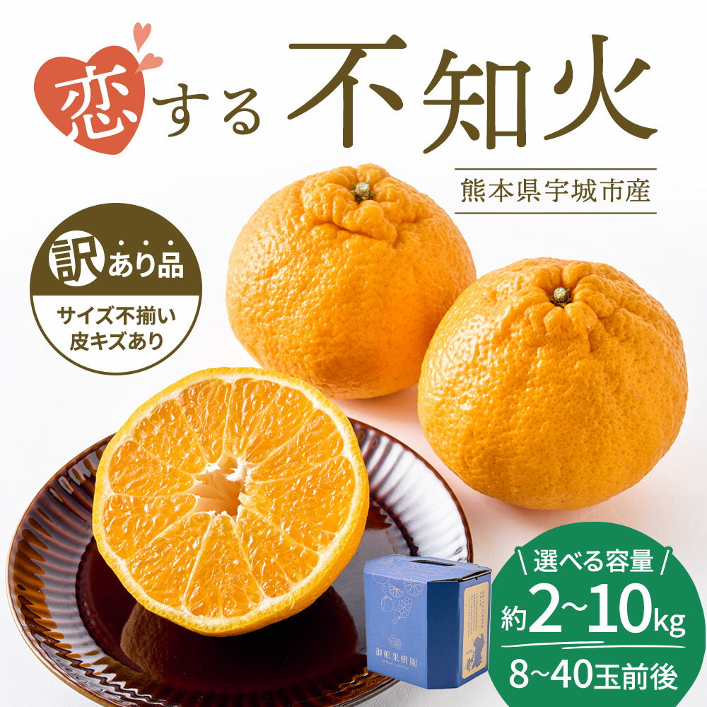【ふるさと納税】 先行予約 訳あり 不知火 恋する不知火 選べる容量 （約2kg/7.5kg/10kg） 8〜40玉 【2026年4月上旬から2026年6月下旬発送予定】　わけあり 不揃い しらぬい 柑橘 宇城市 熊本県産 御舩果樹園 サムネイル2