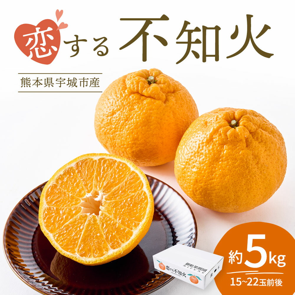 【ふるさと納税】 先行予約 不知火 恋する不知火 約5kg 【2026年4月上旬から2026年6月下旬発送予定】 しらぬい みかん ミカン フルーツ 果物 くだもの 柑橘 宇城市 熊本県産 九州産 御舩果樹園 サムネイル2