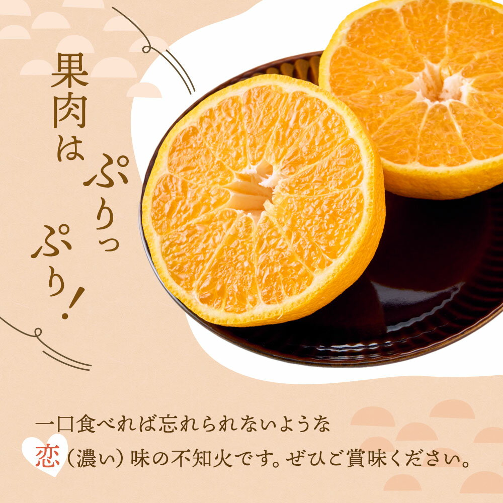【ふるさと納税】 先行予約 不知火 恋する不知火 約5kg 【2026年4月上旬から2026年6月下旬発送予定】 しらぬい みかん ミカン フルーツ 果物 くだもの 柑橘 宇城市 熊本県産 九州産 御舩果樹園 サムネイル3