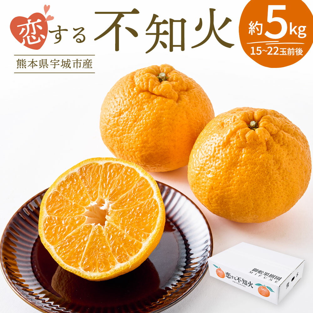 先行予約 不知火 恋する不知火 約5kg 【2026年4月上旬から2026年6月下旬発送予定】 しらぬい みかん ミカン フルーツ 果物 くだもの 柑橘 宇城市 熊本県産 九州産 御舩果樹園