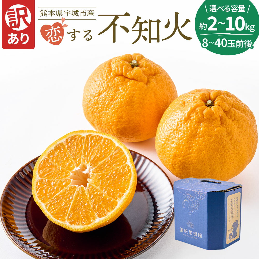 先行予約 訳あり 不知火 恋する不知火 選べる容量 （約2kg/7.5kg/10kg） 8〜40玉 【2026年4月上旬から2026年6月下旬発送予定】　わけあり 不揃い しらぬい 柑橘 宇城市 熊本県産 御舩果樹園