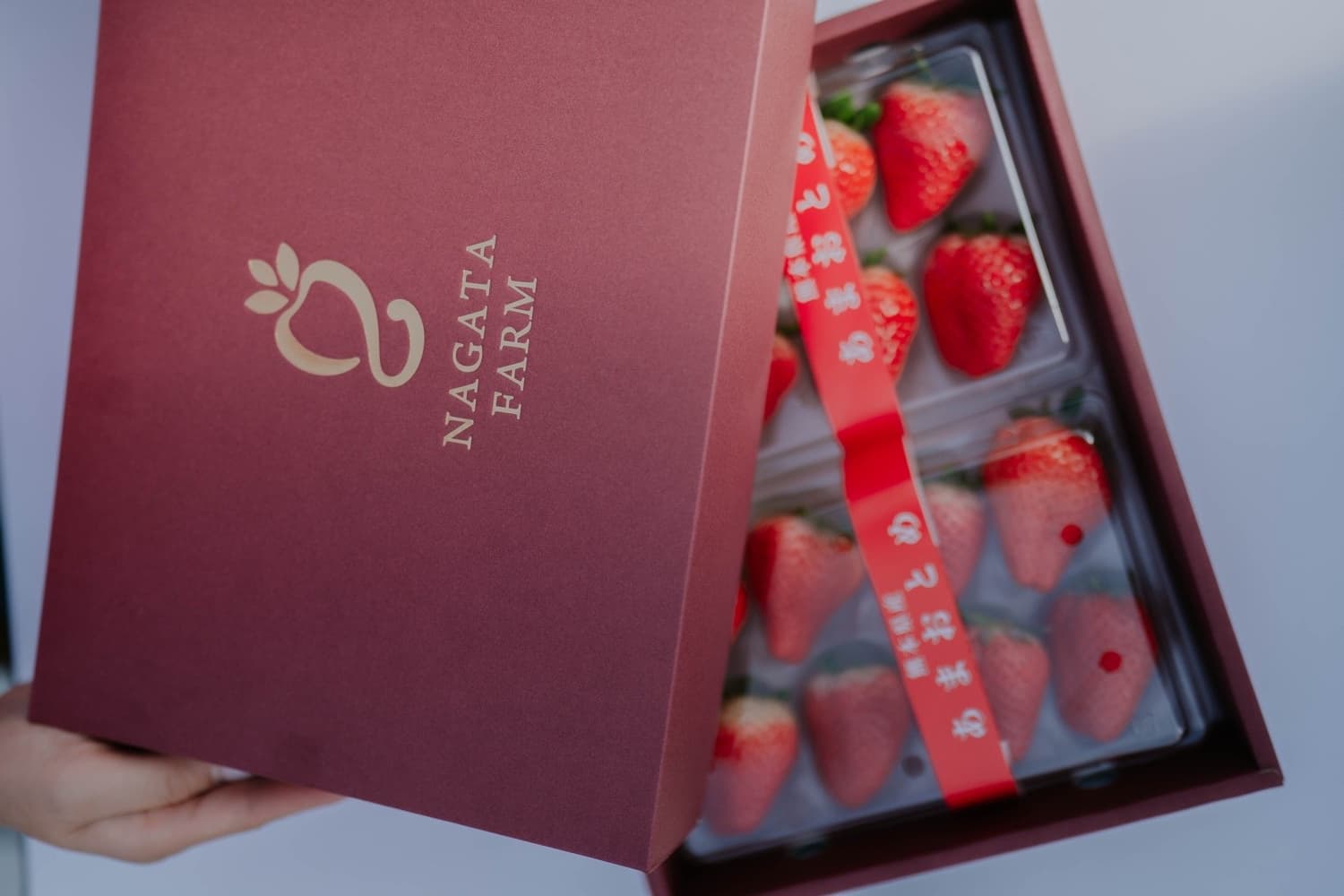 【ふるさと納税】先行予約【配送月が選べる】 化粧箱入り いちご あまおとめ 約600g （約300g×2パック)【2026年1月上旬〜3月下旬発送予定】 苺 熊本県産 九州産 国産 NAGATA FARM サムネイル2