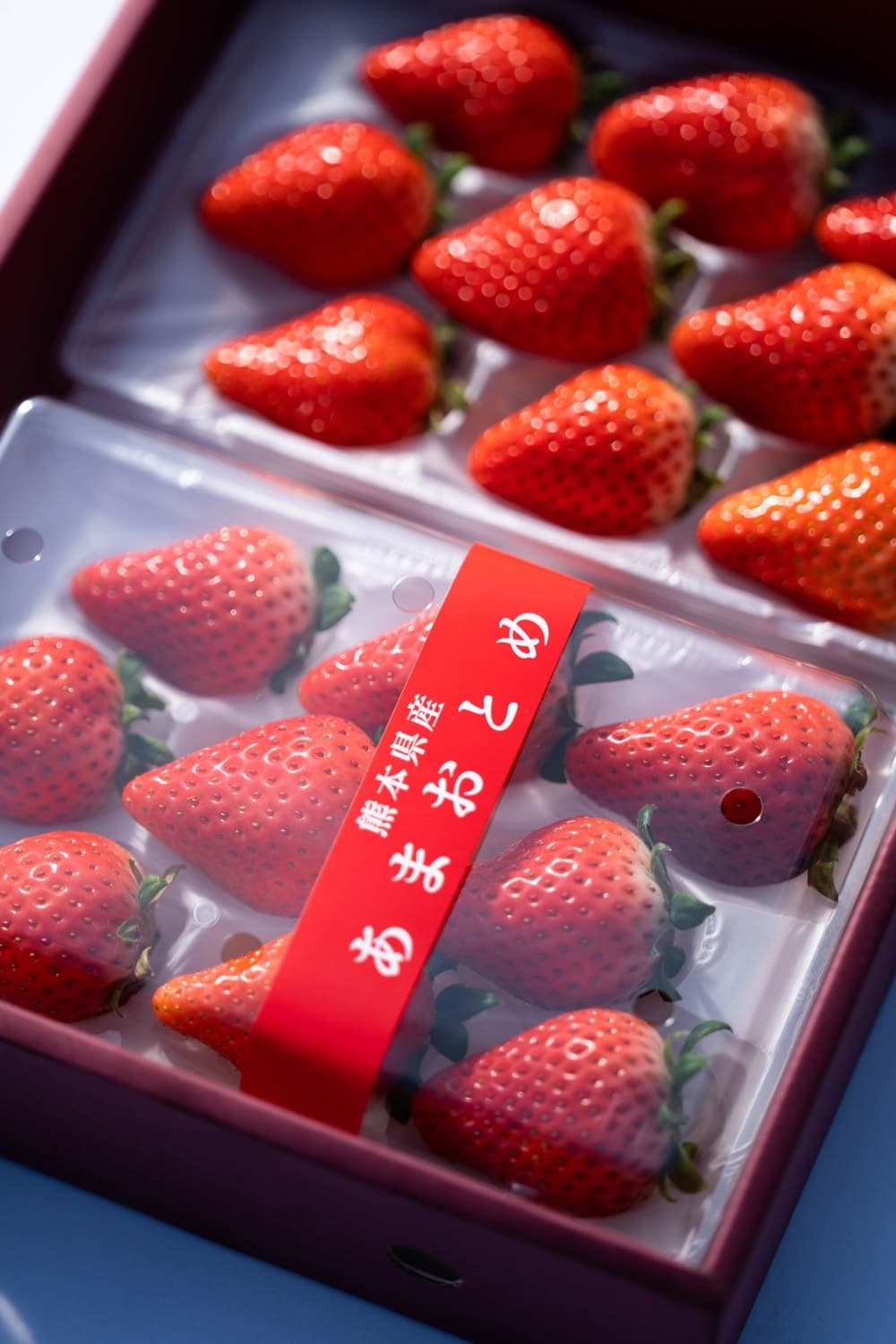 【ふるさと納税】先行予約【配送月が選べる】 化粧箱入り いちご あまおとめ 約600g （約300g×2パック)【2026年1月上旬〜3月下旬発送予定】 苺 熊本県産 九州産 国産 NAGATA FARM サムネイル3