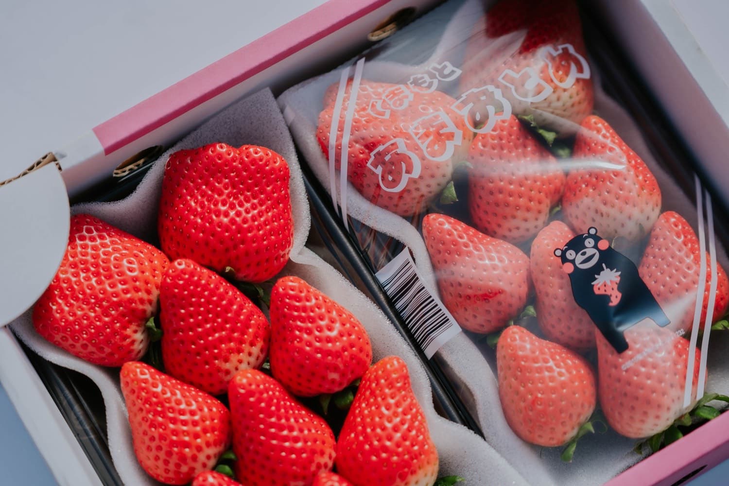 【ふるさと納税】先行予約【配送月が選べる】 いちご あまおとめ 約1kg(約250g×4パック) 【2026年1月上旬〜3月下旬発送予定】 苺 熊本県産 九州産 国産 宇城市産 NAGATA FARM サムネイル2