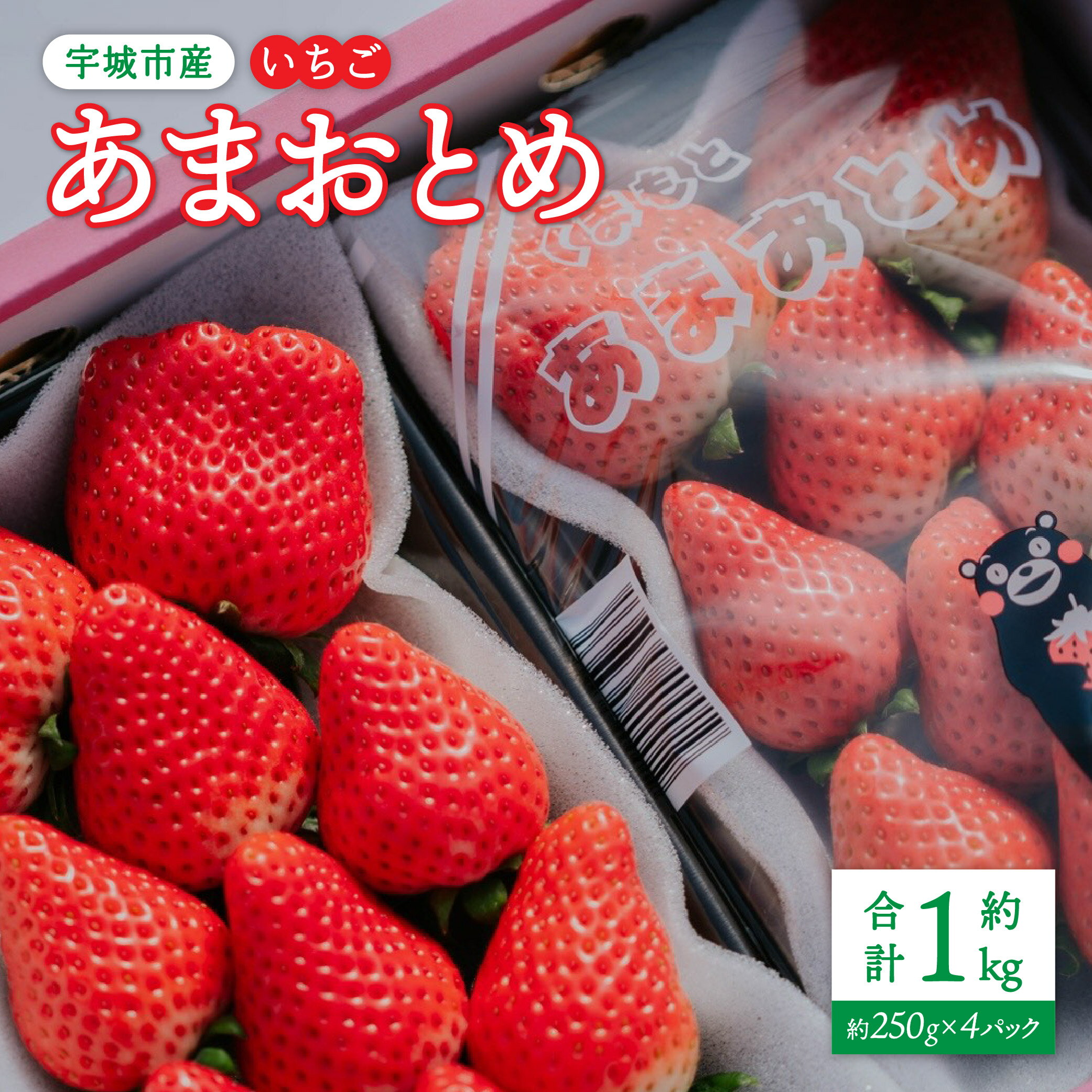 先行予約【配送月が選べる】 いちご あまおとめ 約1kg(約250g×4パック) 【2026年1月上旬〜3月下旬発送予定】 苺 熊本県産 九州産 国産 宇城市産 NAGATA FARM