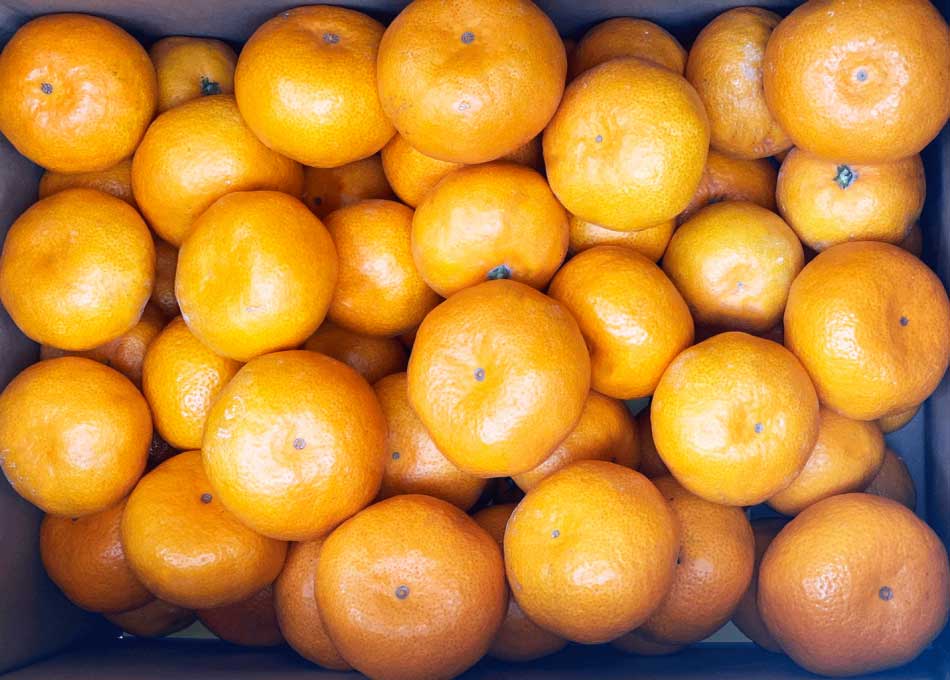 【ふるさと納税】 汐風 みかん 約5kg (25-35玉前後) 【2025年11月上旬から2026年1月下旬発送予定】 みかん ミカン 蜜柑 柑橘 フルーツ 果物 くだもの 熊本県産 九州産 国産 送料無料 のむちゃん農園 サムネイル2