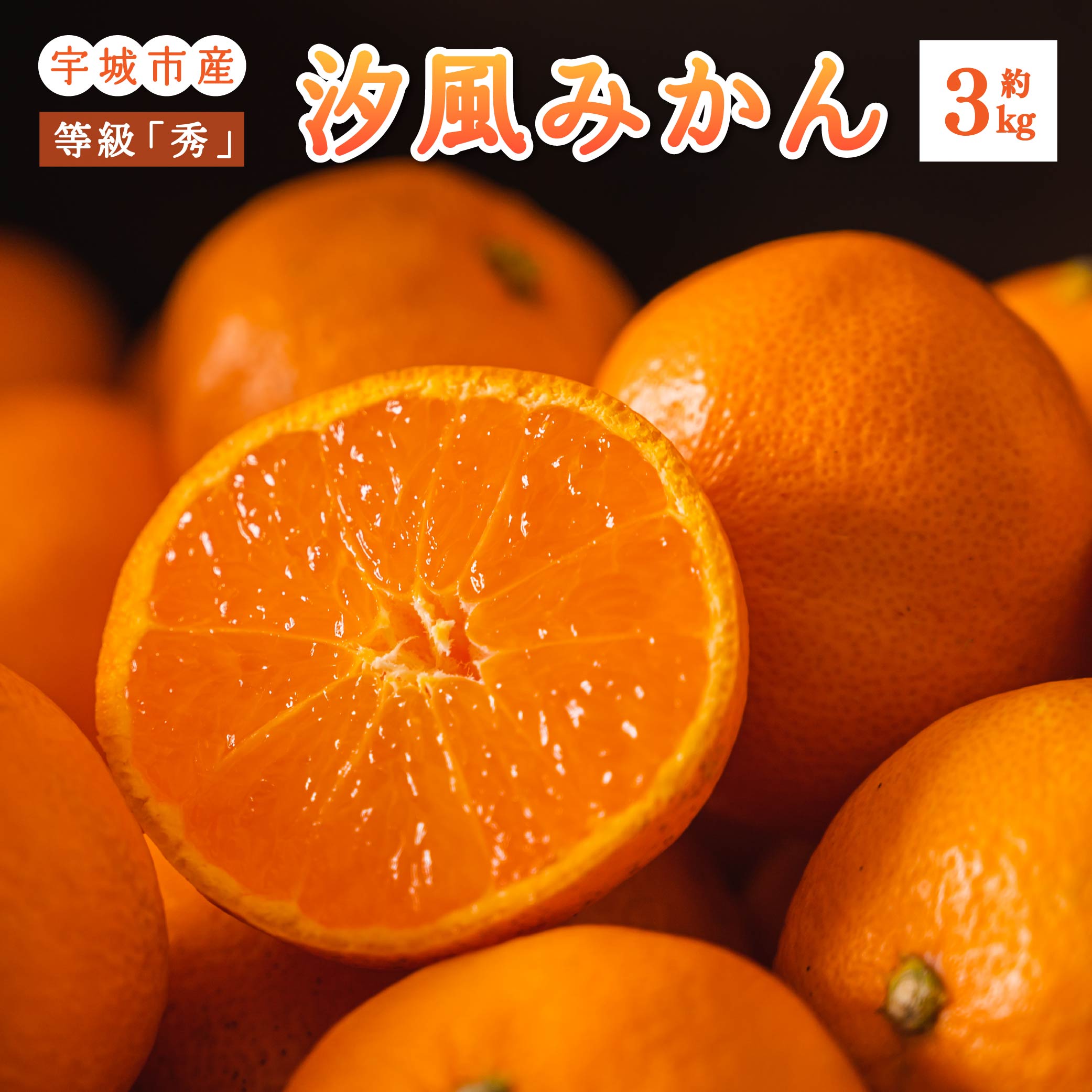 汐風 みかん 等級「秀」約3kg (15〜20玉前後) 【2025年11月上旬～2026年1月下旬発送予定】みかん ミカン 蜜柑 柑橘 フルーツ 果物 くだもの 熊本県産 九州産 国産 送料無料 のむちゃん農園