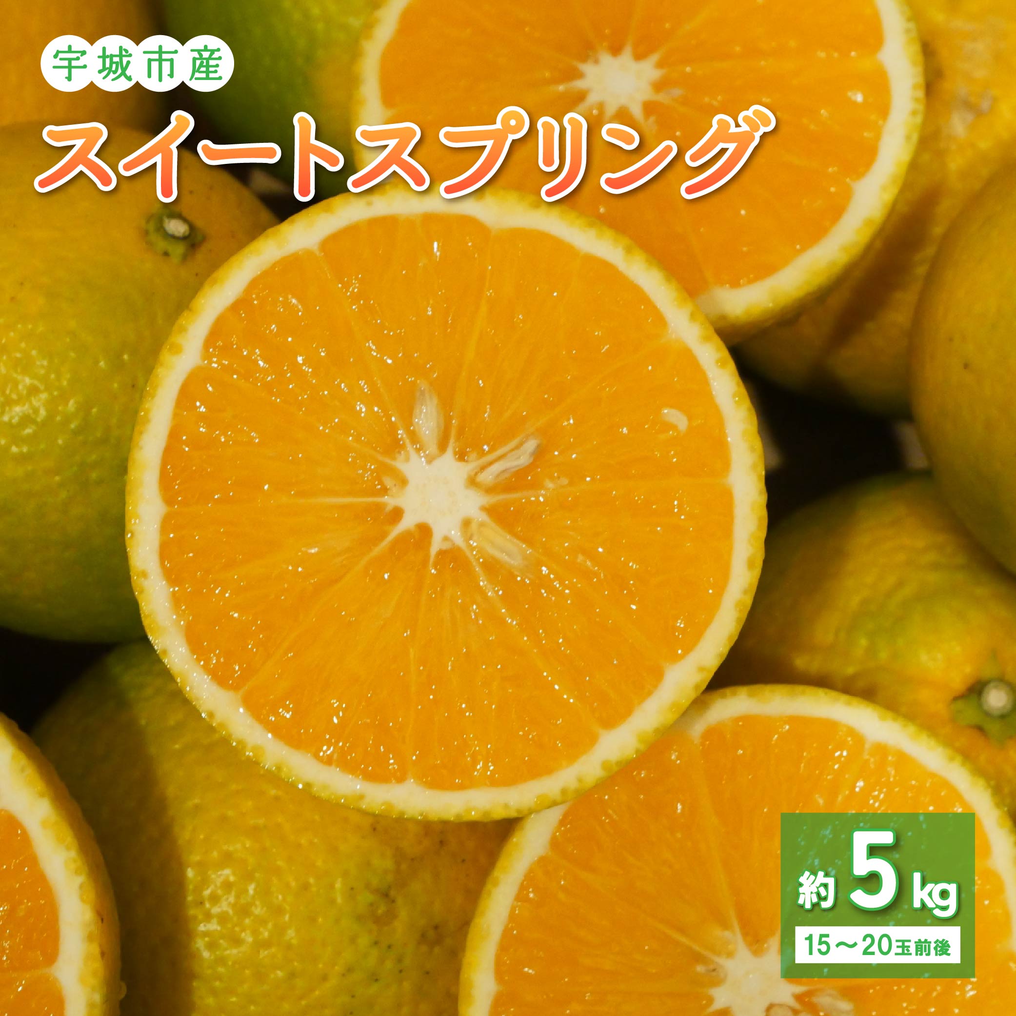 スイートスプリング 約5kg (15〜20玉前後) 【2025年11月下旬-2026年2月下旬発送予定】柑橘 フルーツ 果物 くだもの 熊本県産 九州産 国産 送料無料 のむちゃん農園