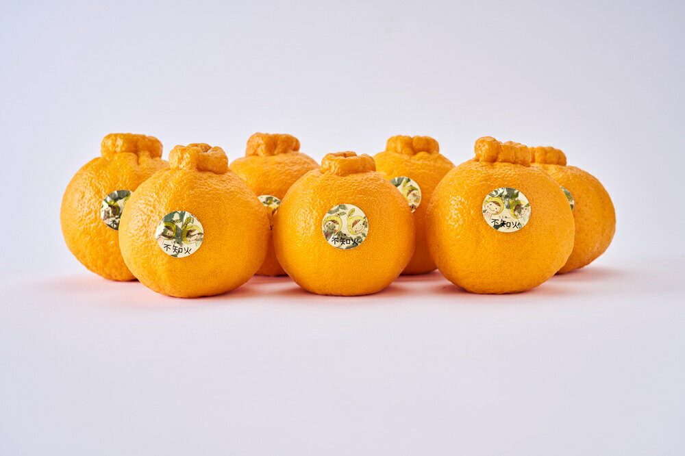 【ふるさと納税】 先行予約 不知火 約3kg 加温栽培 【2025年12月発送開始予定】しらぬい みかん 蜜柑 宇城市産 熊本県産 九州産 国産 株式会社坂下園 サムネイル2