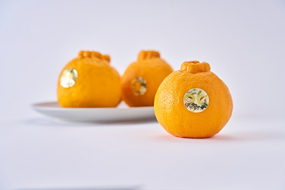 【ふるさと納税】 先行予約 不知火 約3kg 加温栽培 【2025年12月発送開始予定】しらぬい みかん 蜜柑 宇城市産 熊本県産 九州産 国産 株式会社坂下園 サムネイル3