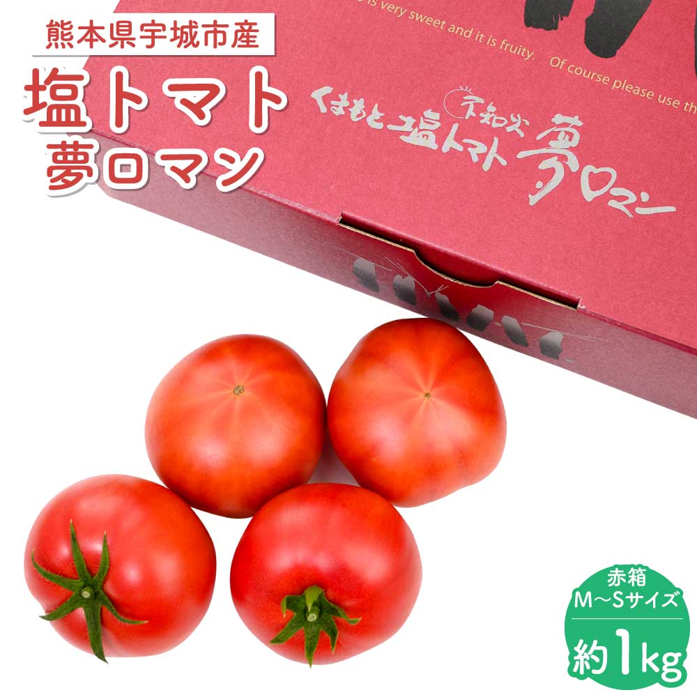 塩トマト 夢ロマン 約1kg 赤箱 M〜Sサイズ（12〜20玉） 宇城彩館 糖度8度以上 野菜 果実 フルーツトマト 宇城市産 国産 九州 熊本県 宇城市 送料無料 サンサンうきっ子宇城彩館【2026年3月下旬〜6月中旬頃発送予定】