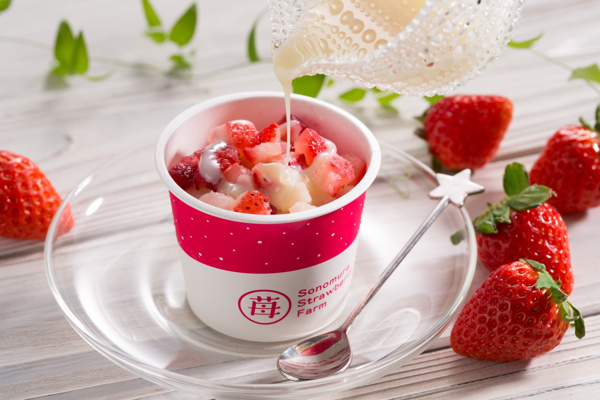 【ふるさと納税】完熟 冷凍 いちご ぷち苺 50g×6カップ 合計300g 練乳付き イチゴ 苺 さちのか 練乳 フルーツ 果物 デザート 小分け カップ 急速冷凍 贈答品 贈り物 のし対応 国産 九州産 熊本県産 宇城市産 送料無料 園村苺園 サムネイル2