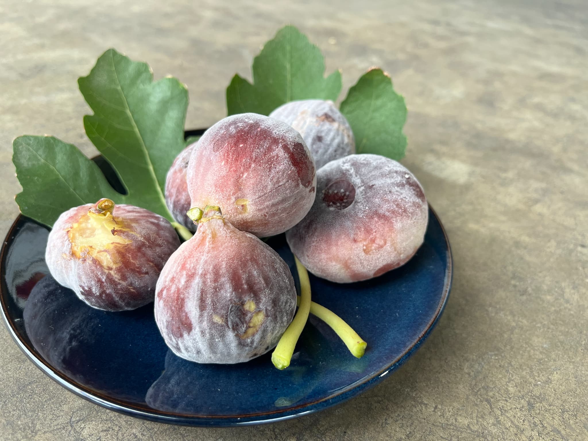 【ふるさと納税】 イチジク 訳あり 冷凍イチジク 【選べる 内容量】 約1.5kg（15~25玉前後）もしくは 計約3kg 約1.5kg×2パック（30~50玉前後） 冷凍 熊本県産 宇城市産 国産 九州 熊本県 宇城市 送料無料 合同会社宝Farm サムネイル3