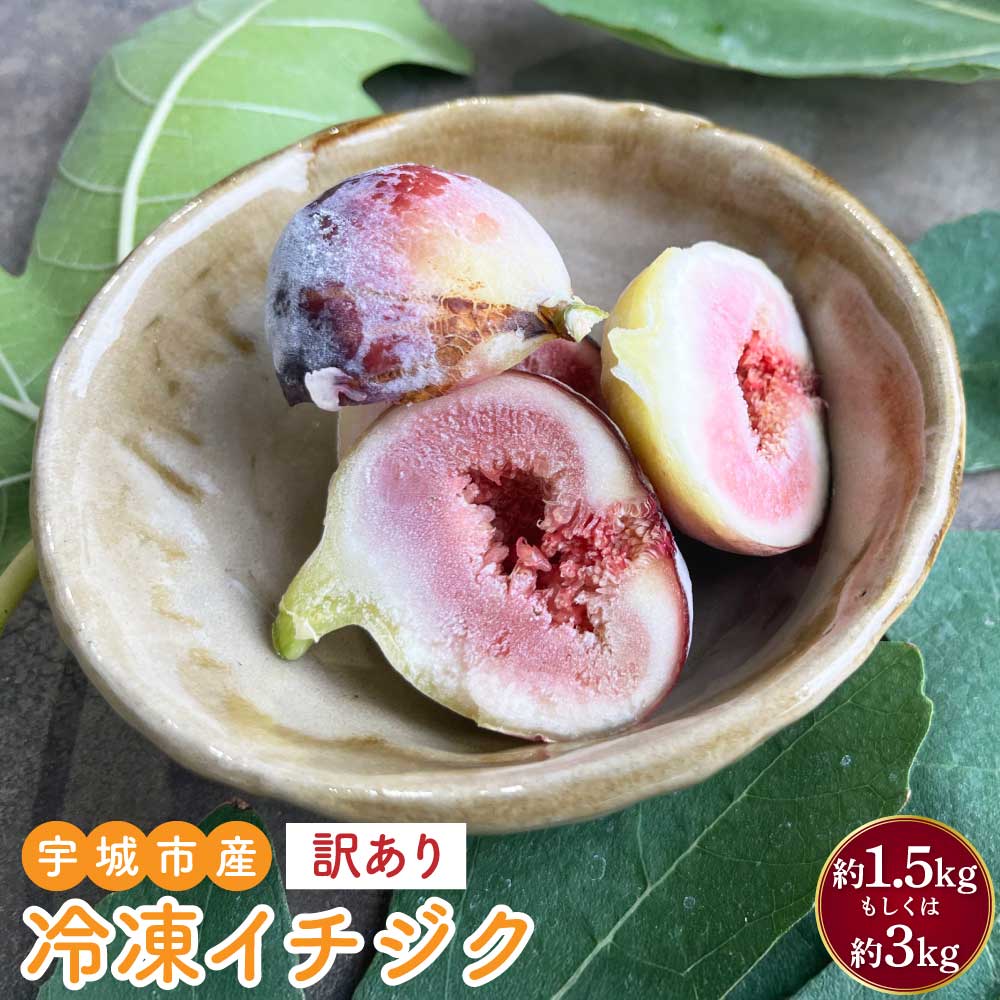 イチジク 訳あり 冷凍イチジク 【選べる 内容量】 約1.5kg（15~25玉前後）もしくは 計約3kg 約1.5kg×2パック（30~50玉前後） 冷凍 熊本県産 宇城市産 国産 九州 熊本県 宇城市 送料無料 合同会社宝Farm