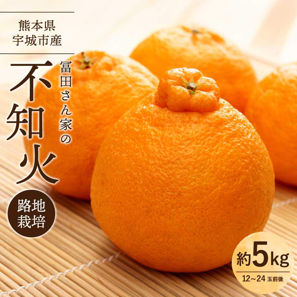 【先行予約】不知火 訳あり 冨田さん家の不知火 路地栽培 5kg 【2026年1月中旬-1月下旬発送予定】 しらぬい みかん 蜜柑 柑橘 常温 家庭用 自宅用 不揃い デコなし 傷あり B級 SDGs キズ 熊本県産 国産 九州 熊本県 宇城市 冨田農園