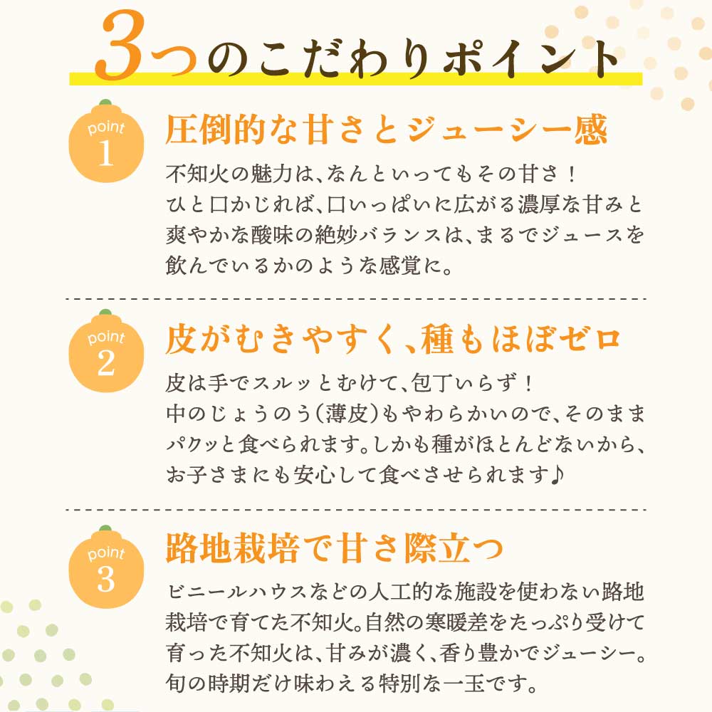 【ふるさと納税】【先行予約】不知火 訳あり 冨田さん家の不知火 路地栽培 5kg 【2026年1月中旬-1月下旬発送予定】 しらぬい みかん 蜜柑 柑橘 常温 家庭用 自宅用 不揃い デコなし 傷あり B級 SDGs キズ 熊本県産 国産 九州 熊本県 宇城市 冨田農園 サムネイル3