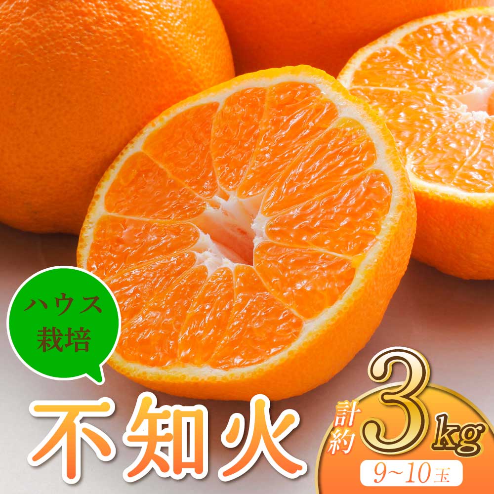 先行予約 ハウス栽培 不知火 約3kg (9〜10玉前後) 【2026年2月下旬から6月下旬発送予定】 しらぬい みかん ミカン 蜜柑 果物 くだもの フルーツ 熊本県産 九州産 国産 送料無料 うちやま果樹園 宇城市産