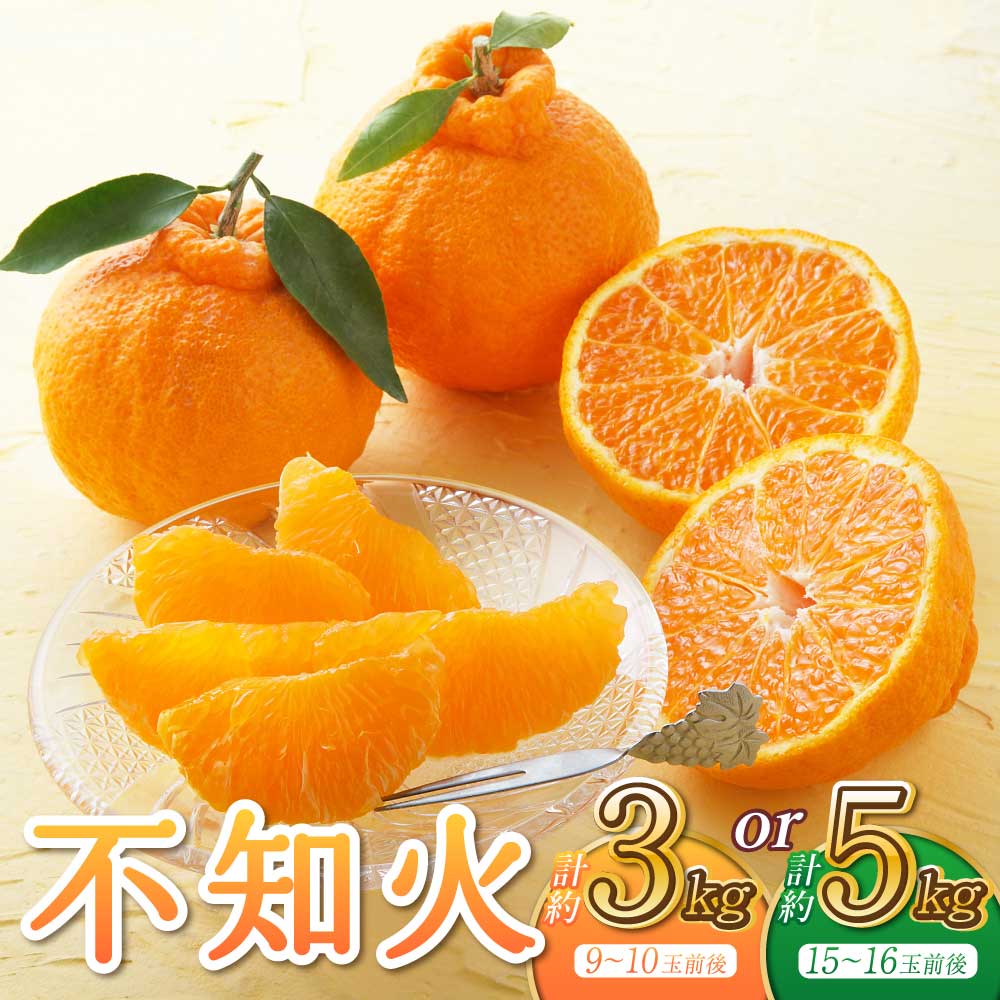 先行予約 不知火 【選べる容量】約3kg (9〜10玉前後) もしくは (約5kg (15〜16玉前後) 【2026年3月上旬から6月下旬発送予定】しらぬい みかん ミカン 蜜柑 果物 くだもの フルーツ 熊本県産 九州産 国産 うちやま果樹園