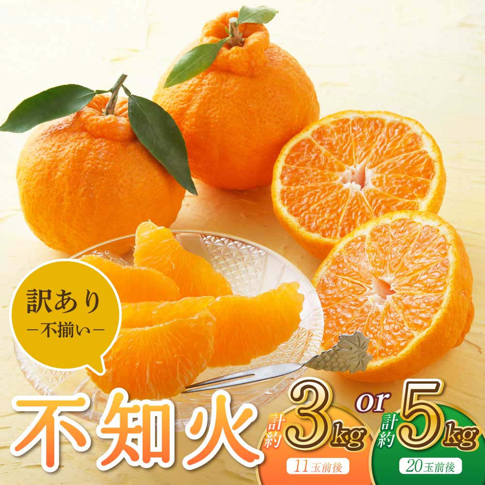 先行予約 訳あり品 不知火 約3kg (11玉前後) もしくは 約5kg (20玉前後) 【2026年3月上旬から6月下旬発送予定】しらぬい みかん ミカン 特産品 旬の果物 蜜柑 果物 くだもの フルーツ 傷 不揃い 訳アリ 熊本県産 国産 柑橘類 うちやま果樹園 宇城市産