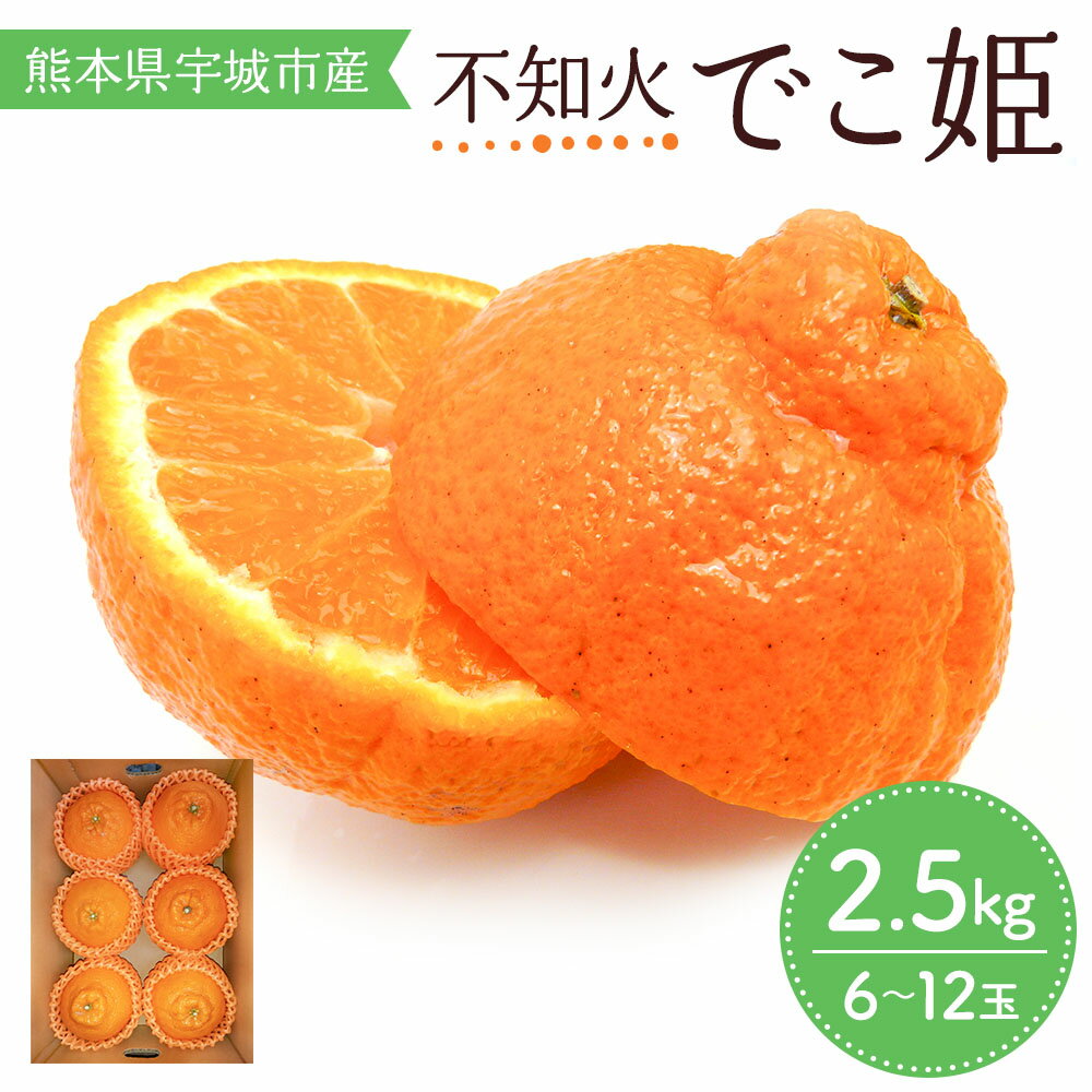 先行予約 不知火 でこ姫 約2.5kg (6〜12玉) 【2026年3月上旬〜2026年5月下旬発送】しらぬい みかん 柑橘 宇城市産 熊本県産 九州産 国産 送料無料 吉田レモニー