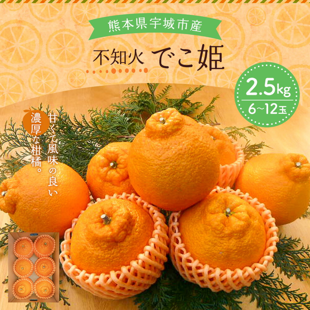 【ふるさと納税】 先行予約 不知火 でこ姫 約2.5kg (6〜12玉) 【2026年3月上旬〜2026年5月下旬発送】しらぬい みかん 柑橘 宇城市産 熊本県産 九州産 国産 送料無料 吉田レモニー サムネイル2