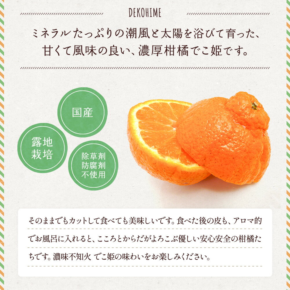 【ふるさと納税】 先行予約 不知火 でこ姫 約2.5kg (6〜12玉) 【2026年3月上旬〜2026年5月下旬発送】しらぬい みかん 柑橘 宇城市産 熊本県産 九州産 国産 送料無料 吉田レモニー サムネイル3