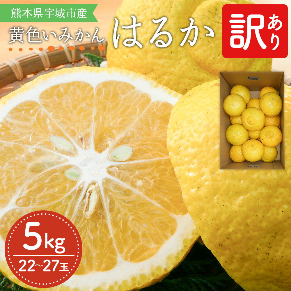 先行予約 みかん 訳あり はるか 約5kg (22〜27玉前後) 家庭用 【2026年2月上旬頃～2026年5月下旬発送】吉田レモニー わけあり 柑橘 宇城市産 熊本県産 九州産 国産 送料無料 吉田レモニー