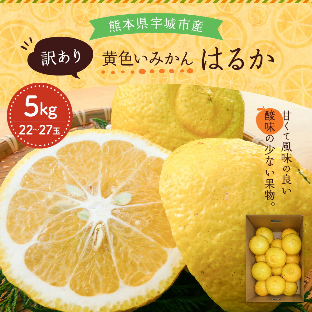 【ふるさと納税】 先行予約 みかん 訳あり はるか 約5kg (22〜27玉前後) 家庭用 【2026年2月上旬頃～2026年5月下旬発送】吉田レモニー わけあり 柑橘 宇城市産 熊本県産 九州産 国産 送料無料 吉田レモニー サムネイル2