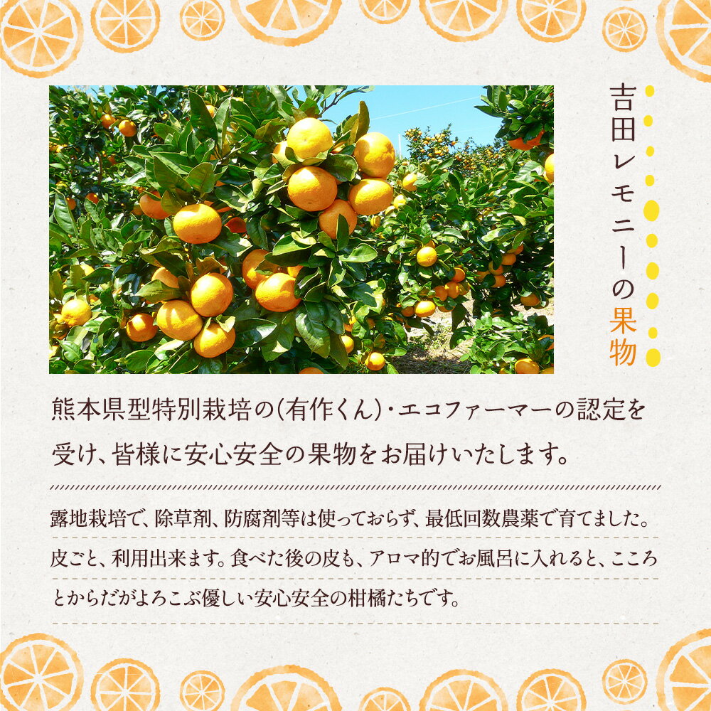 【ふるさと納税】レモン果汁 300ml 2本セット 果汁100％ 保存料不使用 完全無添加 数量限定 国産 九州 熊本県産 瓶 詰め合わせ ギフト 送料無料 吉田レモニー サムネイル2