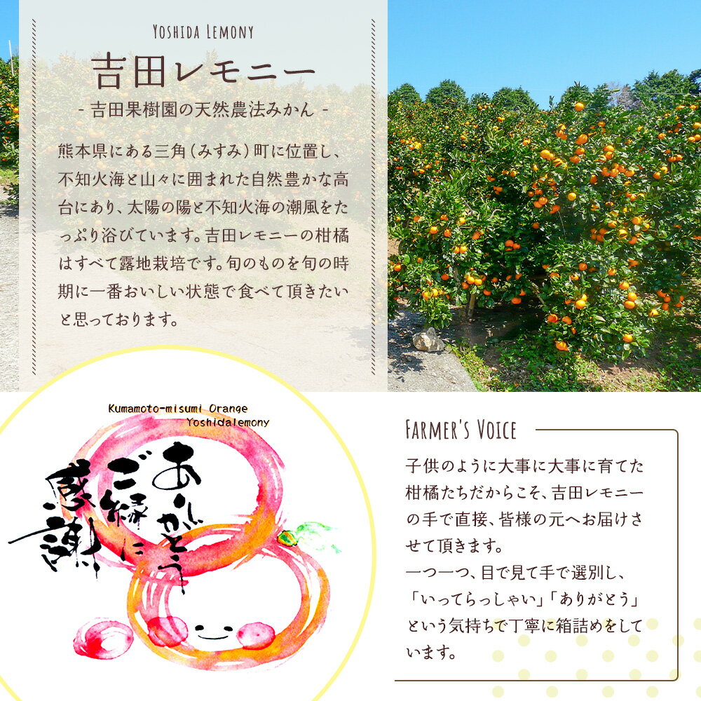 【ふるさと納税】レモン果汁 300ml 2本セット 果汁100％ 保存料不使用 完全無添加 数量限定 国産 九州 熊本県産 瓶 詰め合わせ ギフト 送料無料 吉田レモニー サムネイル3