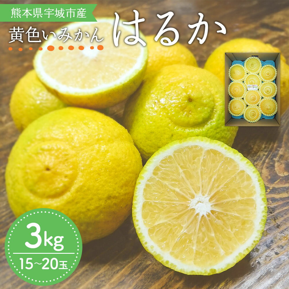先行予約 みかん はるか 約3kg (15玉〜20玉前後) 【2026年2月上旬頃～2026年5月下旬発送】 柑橘 宇城市産 熊本県産 九州産 国産 送料無料 吉田レモニー