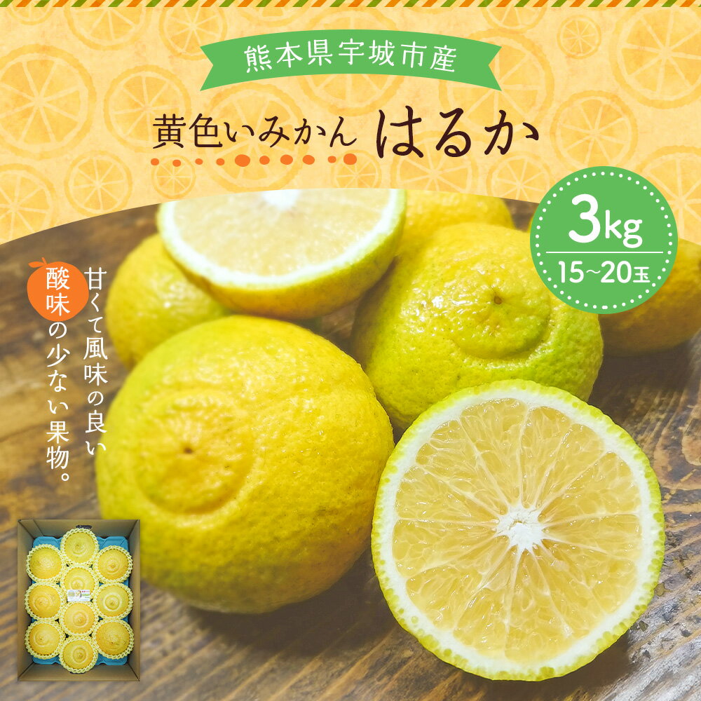【ふるさと納税】 先行予約 みかん はるか 約3kg (15玉〜20玉前後) 【2026年2月上旬頃～2026年5月下旬発送】 柑橘 宇城市産 熊本県産 九州産 国産 送料無料 吉田レモニー サムネイル2