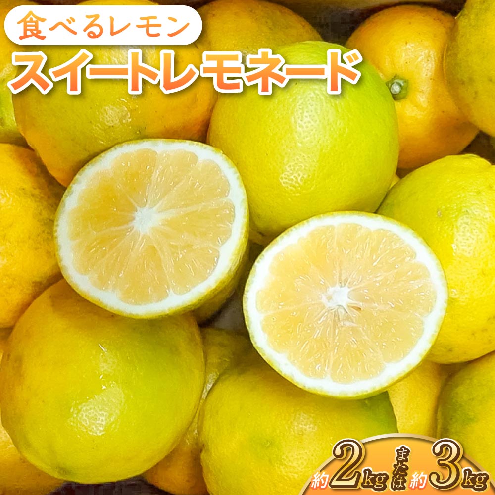先行予約 レモン 食べるレモン スイートレモネード 【選べる内容量】約2kg もしくは 約3kg 【2025年12月上旬頃～2026年6月上旬発送】 柑橘 宇城市産 熊本県産 九州産 国産 送料無料 吉田レモニー