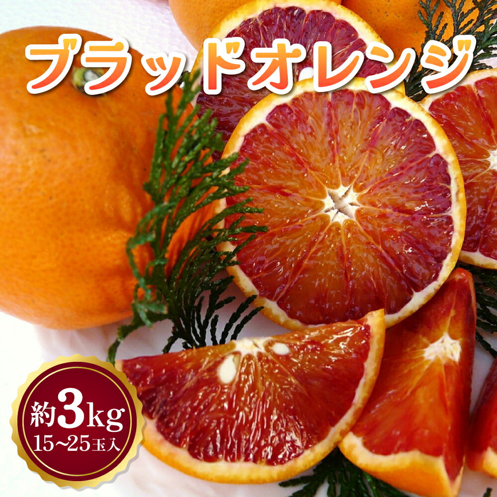先行予約 ブラッドオレンジ 約3kg (15玉〜25玉前後) 【2026年3月上旬頃～2026年4月下旬発送】 オレンジ 柑橘 みかん 宇城市産 熊本県産 九州産 国産 送料無料 吉田レモニー