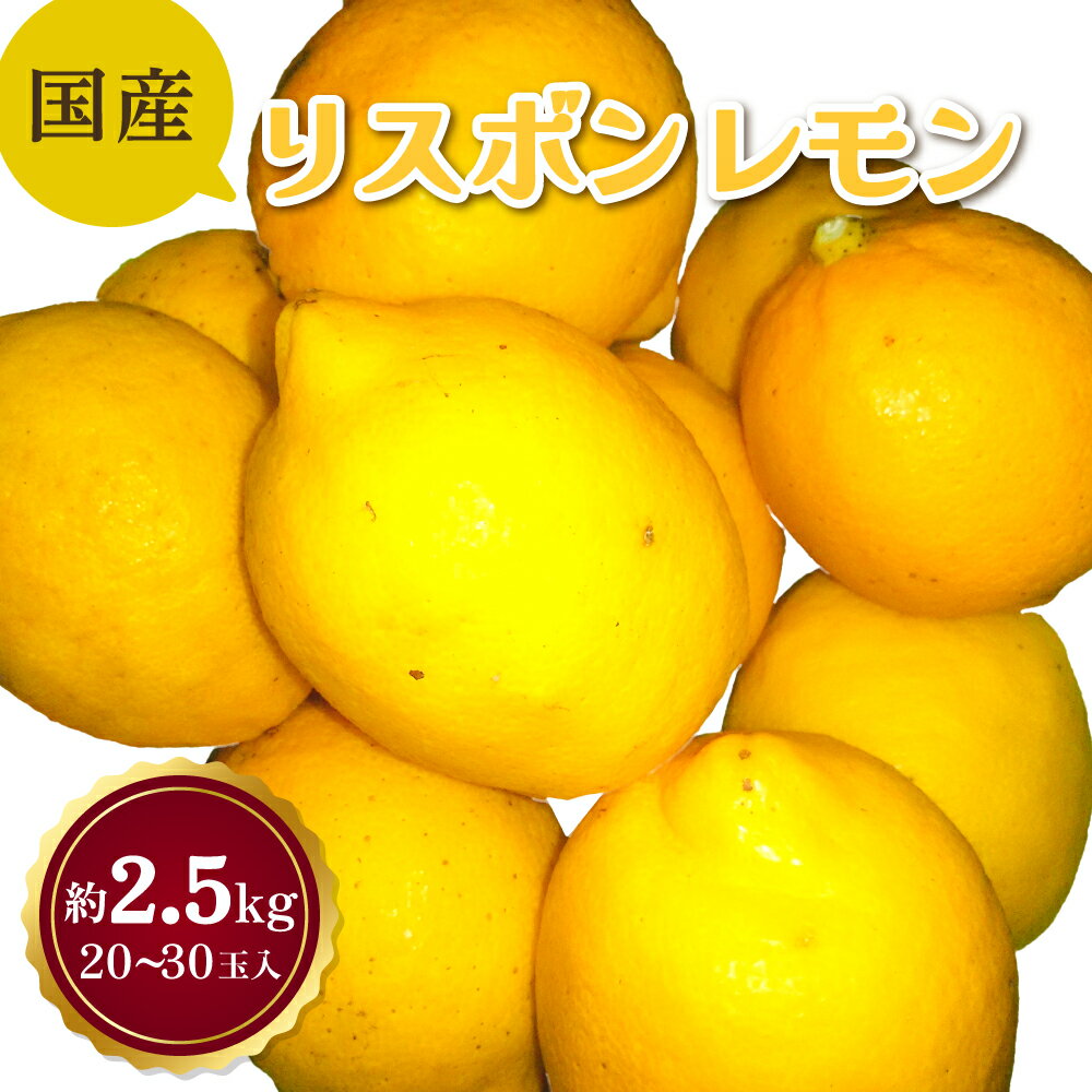 国産 リスボン レモン 約2.5kg (20〜30玉前後) 【2025年11月上旬頃～2026年7月上旬発送】柑橘 宇城市産 熊本県産 九州産 国産 送料無料 吉田レモニー