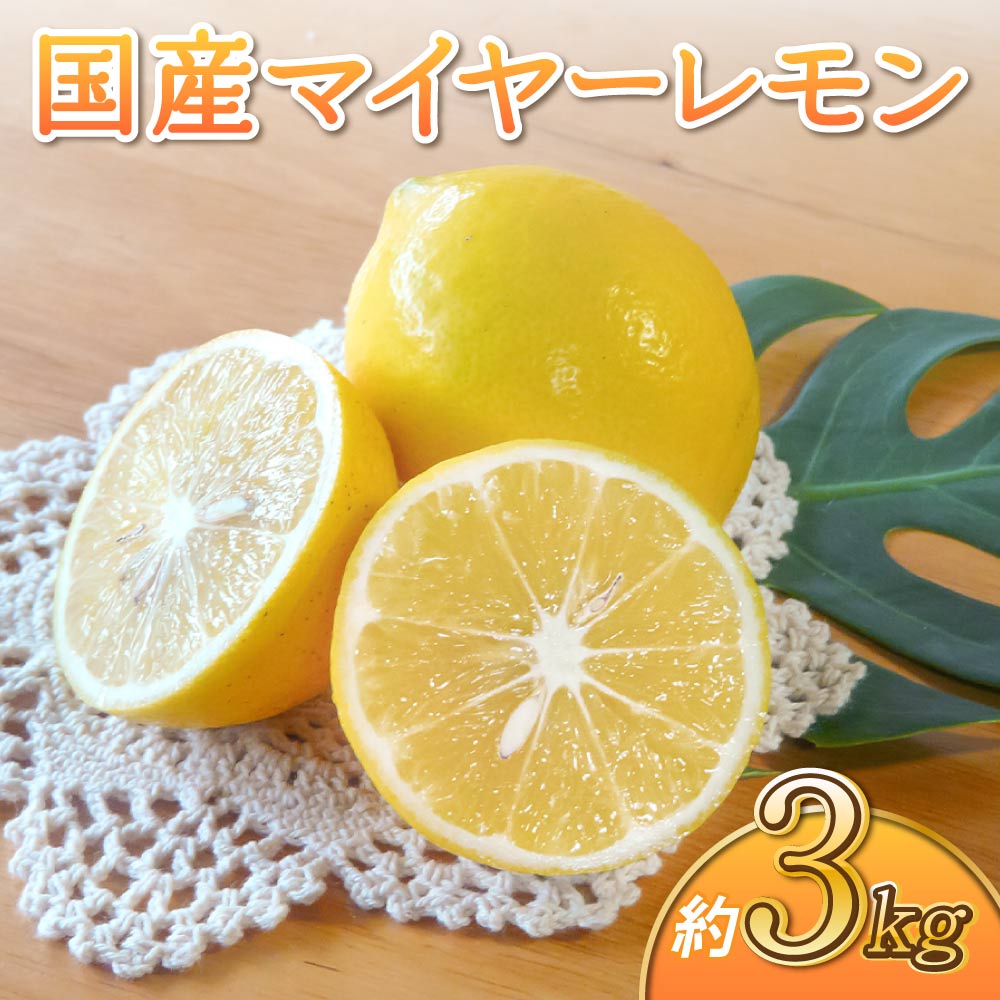 国産 マイヤー レモン 約3kg (15〜20玉前後) 【2025年9月下旬頃～2026年6月上旬発送】 柑橘 宇城市産 熊本県産 九州産 国産 吉田レモニー