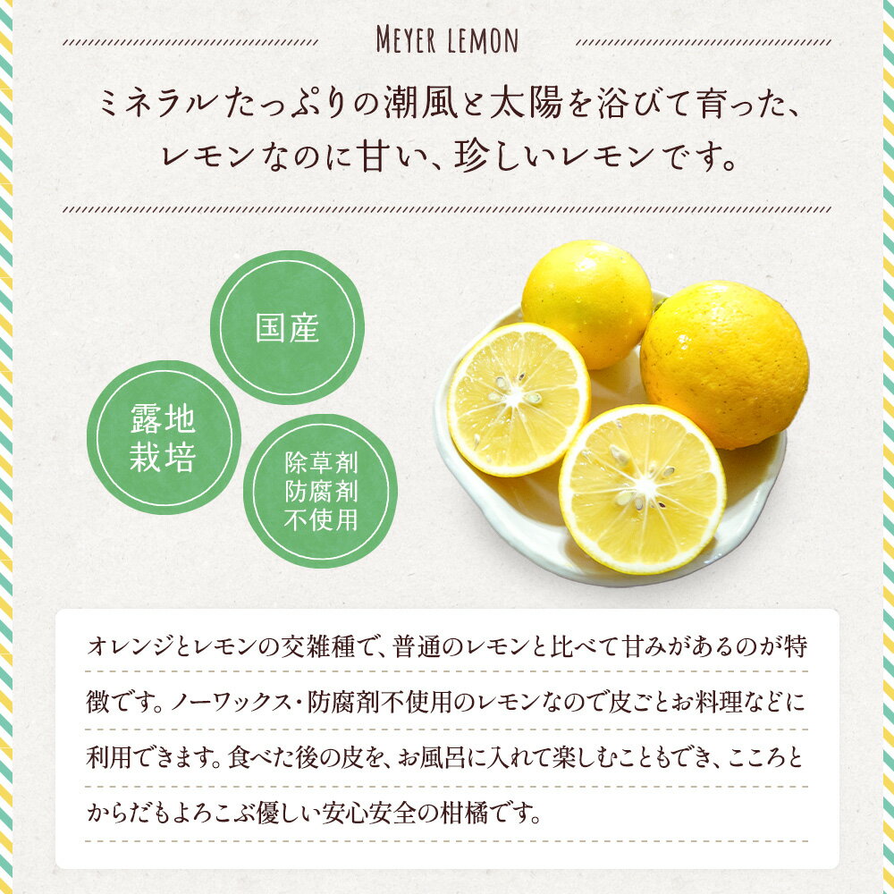 【ふるさと納税】 国産 マイヤー レモン 約3kg (15〜20玉前後) 【2025年9月下旬頃～2026年6月上旬発送】 柑橘 宇城市産 熊本県産 九州産 国産 吉田レモニー サムネイル2